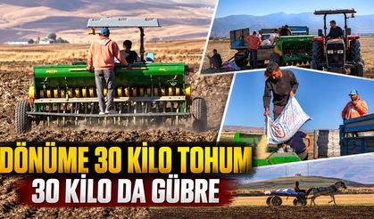Muş'ta az yağış buğday ekimini geciktirdi