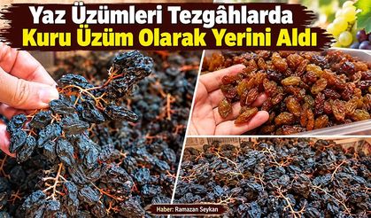 Yaz Üzümleri Tezgâhlarda Kuru Üzüm Olarak Yerini Aldı