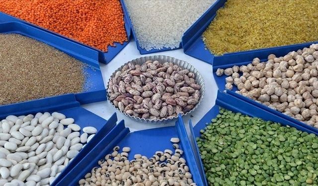 Türkiye'nin makarna ihracatı yılın ilk çeyreğinde yüzde 7 arttı