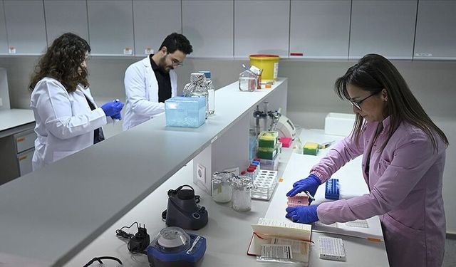 Kanser tedavisinde yaz sıcakları için "sıvı kaybı ve güneş hassasiyeti" uyarısı