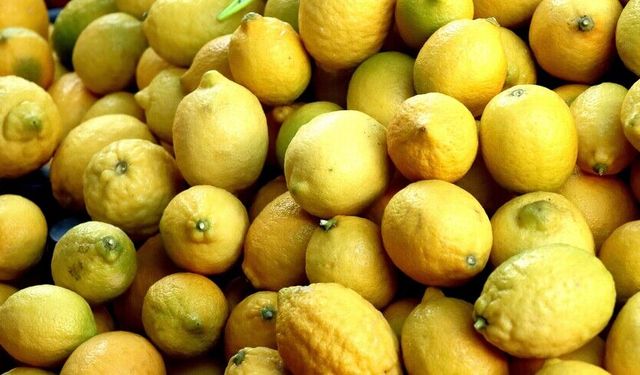 Yılın ilk çeyreğinde en fazla mandalinayı Irak'a, limonu Rusya'ya sattı