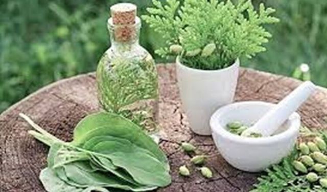 Geleneksel tıp birçok hastalığın tamamlayıcı tedavisinde önemli rol oynuyor