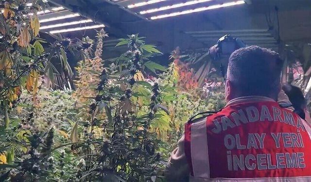 Jandarmadan  Diyarbakır ve 30 ilde narkotik operasyonu