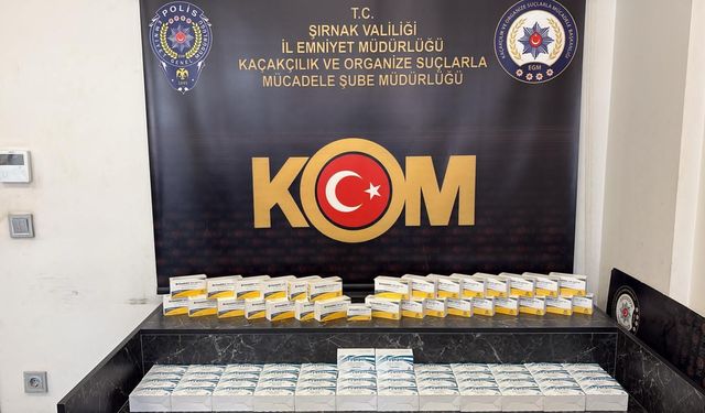 Şırnak'ta kaçak ilaç operasyonunda 2 şüpheli yakalandı