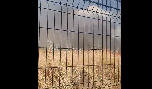 Diyarbakır'da Kent Merkezinde anız yangını paniği