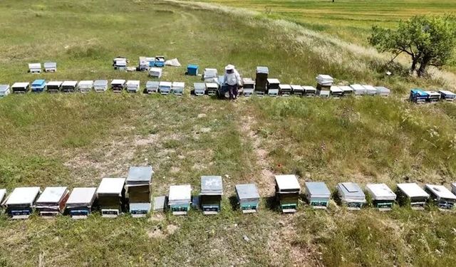 Kazada kaybettiği kocasının hobisini geçim kaynağına dönüştürdü