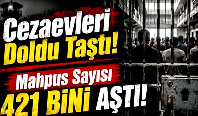 HEGEM uyarmıştı: Yılın ilk yarısında suç oranları tırmandı