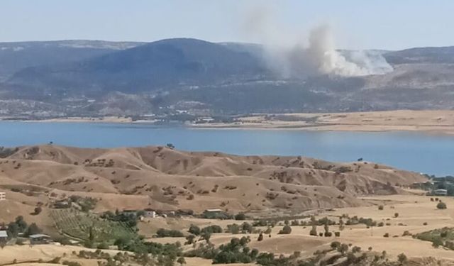 Silvan'da Dağlık Alanda Yangın: Kaniya Spî Bölgesinden Dumanlar Yükseliyor