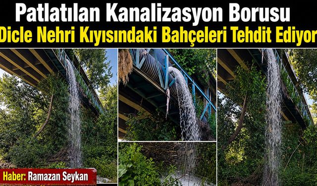 Patlayan kanalizasyon borusu Dicle Nehri Kıyısındaki Bahçeleri tehdit ediyor