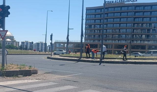 Diyarbakır-Şanlıurfa yolunda görüşü engelleyen otlar temizleniyor