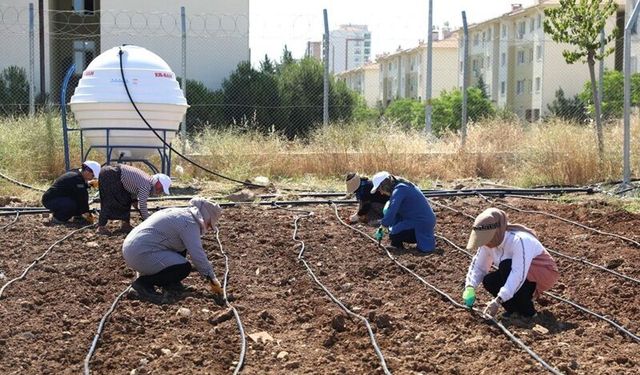 Diyarbakır’da Kadınlar dayanışmayla üretiyor