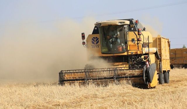Türkiye'nin Hububat ve Bakliyat İhracatı 6 Ayda 5,8 Milyar Doları Aştı