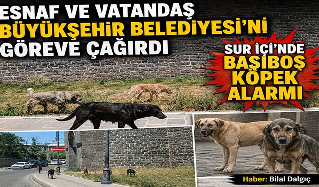 Esnaf ve Vatandaş Büyükşehir Belediyesi’ni Göreve Çağırdı