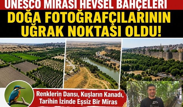 Hevsel Doğa Fotoğrafçılarının Uğrak Yeri Oldu