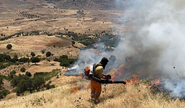 Diyarbakır'da çıkan örtü ve orman yangınına müdahale ediliyor