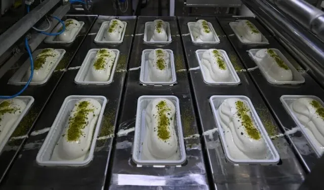 Türkiye'nin dondurma ihracatı 4 ayda 23,5 milyon doları aştı