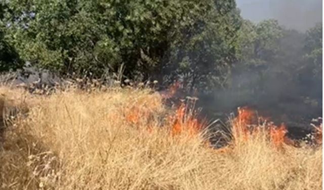 Hani İlçesinde Orman Yangını Devam Ediyor