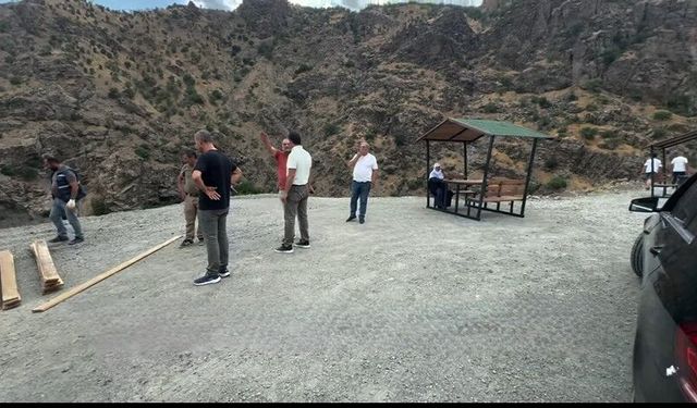 Kulp’ta 9 Virajlar’a Kamelya Yerleştirildi