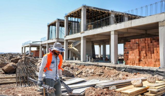 Kayapınar'da Sokak Hayvanları İçin Dev Yatırım