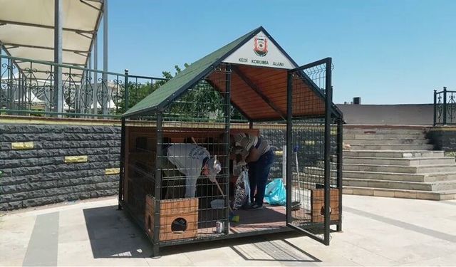 Şanlıurfa'da Sokak Kedileri İçin 12 Kedi Evi Hizmete Alındı