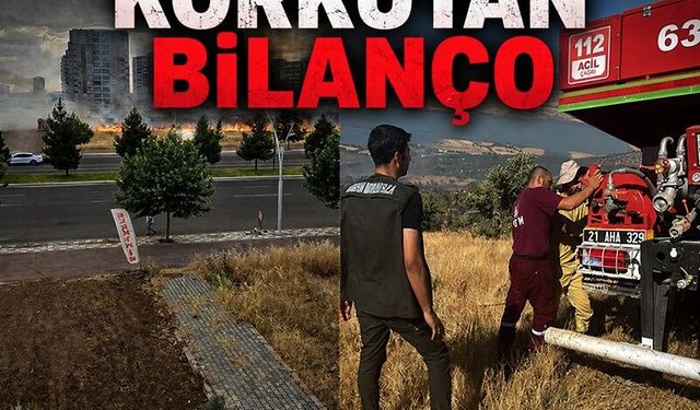 Diyarbakır’da korkutan bilanço: 1 ayda 350 anız yangını!