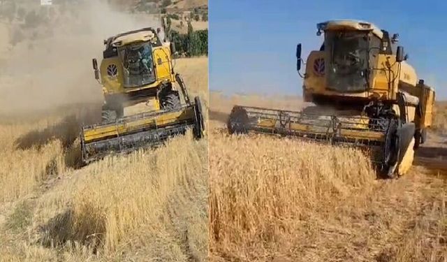 Kulp'un Badikan Bölgesinde Buğday Hasadı Başladı