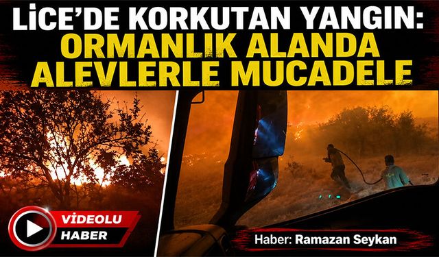 Lice'de Korkutan Yangın: Ormanlık Alanda Alevlerle Mücadele