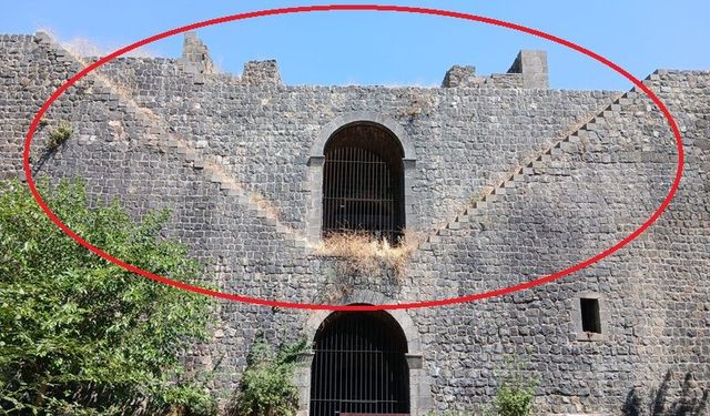 Restore Edildi, Otlara Teslim Oldu