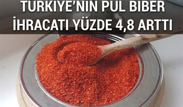 Türkiye'nin pul biber ihracatı yüzde 4,8 arttı