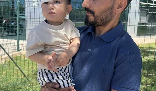 Sahipsiz köpeğin saldırısına uğrayan çocuk yaralandı