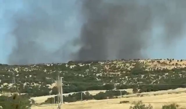 Lice'de Orman ve Örtü Yangını: Ekipler Bölgeye Sevk Edildi