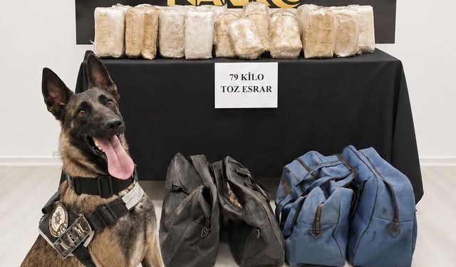 Tırda 79 kilogram esrar ele geçirildi