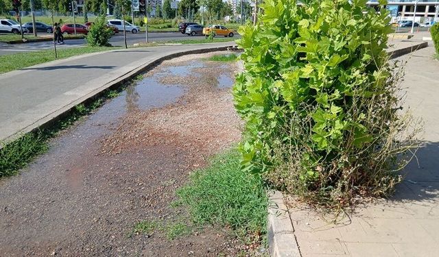 Sulama Hattındaki Arıza Nedeni İle Litrelerce Su Boşa Aktı