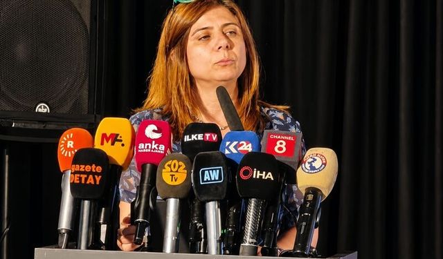 Türkiye'de Toplumsal Barış Süreci ve Dünya Örnekleri Konferansı Diyarbakır'da Başladı