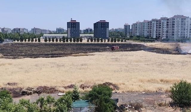 Diyarbakır'da Boş Arazide Anız Yangını: İtfaiye Müdahale Etti