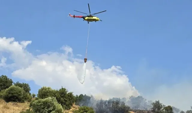 Orman yangınlarına ilişkin soruşturmalarda 12 şüpheli tutuklandı