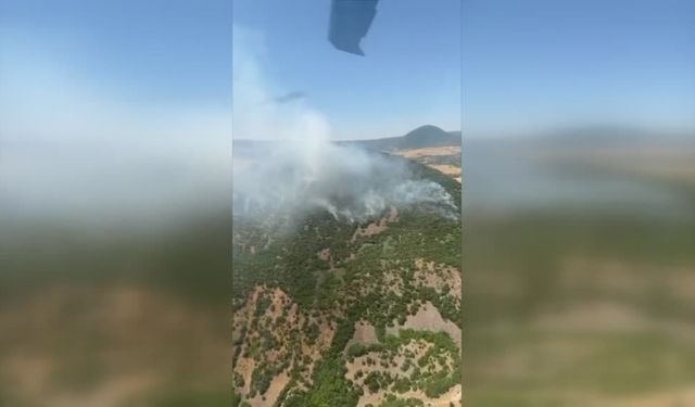 Karakoçan'da ormanlık alanda çıkan yangın söndürüldü