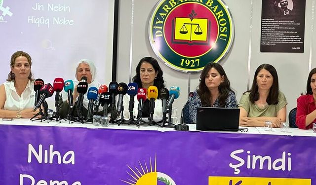 Ayla  Akat: "Çerve Yasa Tarihsel Bir Sürecin İlk Adımı"