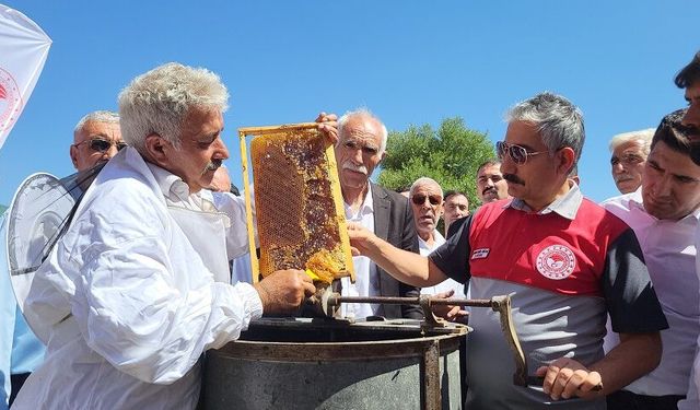 Bal hasadı şenlikle başladı