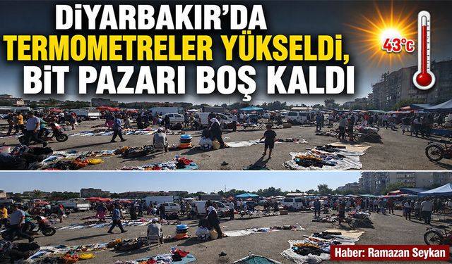 Diyarbakır’da termometreler yükseldi, Bit Pazarı boş kaldı