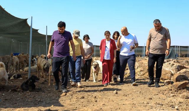 Bucak, Doğal Yaşam Alanı’ndaki Çalışmaları Yerinde İnceledi