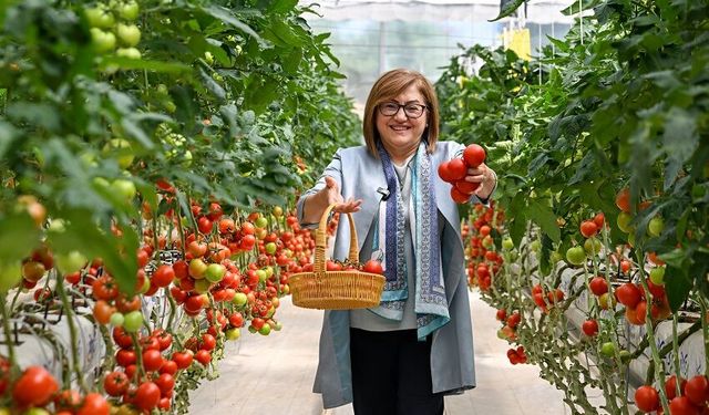 Enerjisini "çöpten" alan seradan yıllık 28 ton hasat