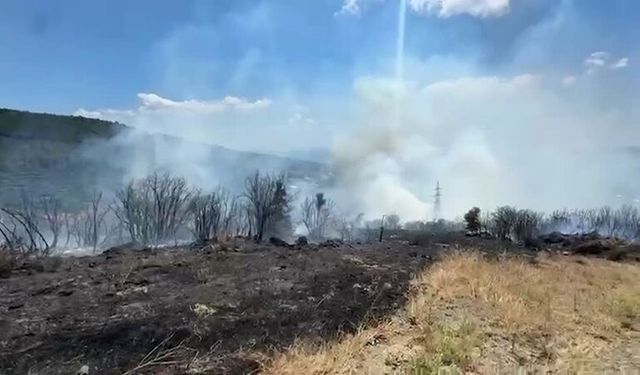 Erdek ilçesinde makilik ve zeytinlik alanda yangın çıktı