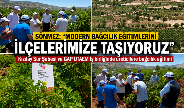 Diyarbakır’da Bağcılık Eğitimleri İlçelere Taşınıyor
