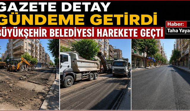 Gazete Detay Gündeme Getirdi Büyükşehir Belediyesi Harekete Geçti