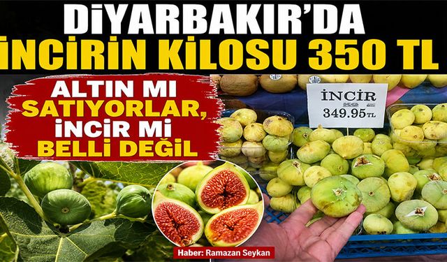 Diyarbakır’da incirin kilosu 350 TL