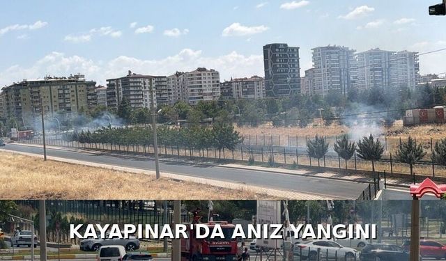 Kayapınar’da Anız Yangını: Alevler Çevreye Yayılmadan Söndürüldü