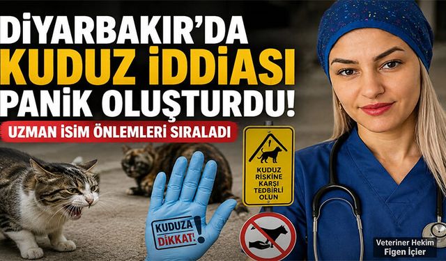 Diyarbakır'da Kuduz Endişesi: Uzmandan Kediler İçin Kritik Uyarı