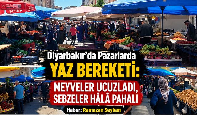 Pazarlarda Yaz Bereketi devam ediyor : Meyveler Ucuzladı, Sebzeler Hâlâ Pahalı