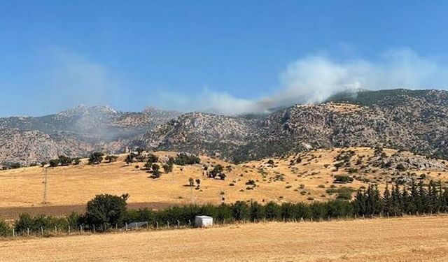 Diyarbakır’da Örtü Yangını Ormanlık Alana Sıçradı
